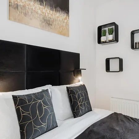 Fiqus Marcelin Deluxe By Bookinghost